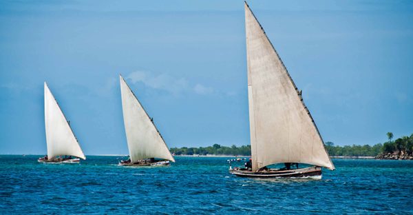 catamaran trips in zanzibar