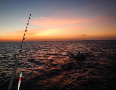 fishing